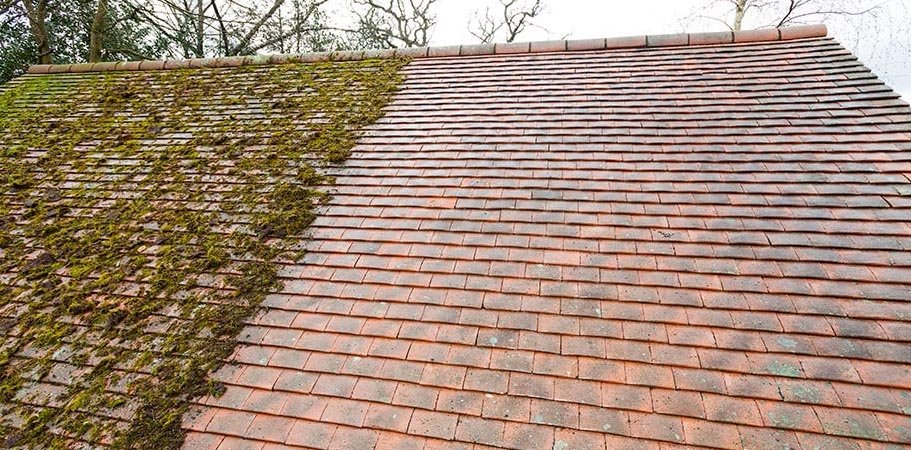 Half-cleaned, mid-job — One side done, the other untouched — the difference a proper hand clean makes to a tiled roof.