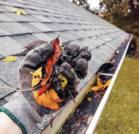 Gutters cleared by hand — A season of leaf litter and silt lifted straight out. Blocked gutters are the cheapest roof problem to fix and the costliest to ignore.