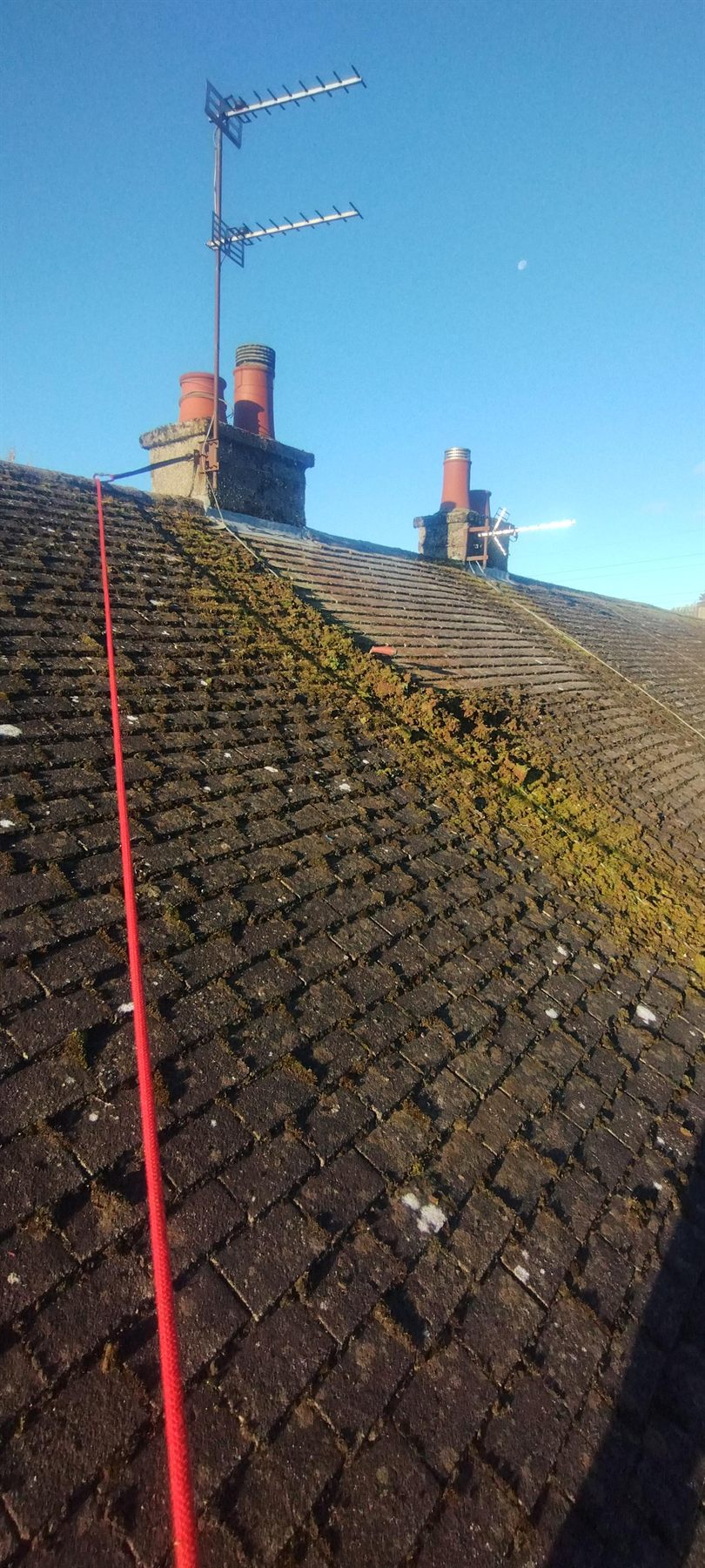 Moss-covered slates, before — This is what we get called out to. Moss holds damp against the slate and works its way under the laps.